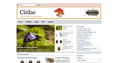 Desktop Screenshot of ciidae.com