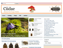 Tablet Screenshot of ciidae.com